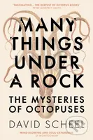 Many Things Under a Rock (The ‘mind-blowing’ book that reveals the mysteries of the octopus) - kniha z kategorie Přírodní vědy a technika