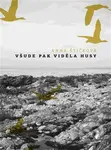 Všude pak viděla husy - Anna Štičková - kniha z kategorie Poezie