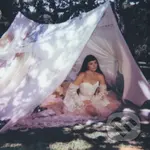 Julia Mestre: Maravilhosamente Bem  LP - Julia Mestre