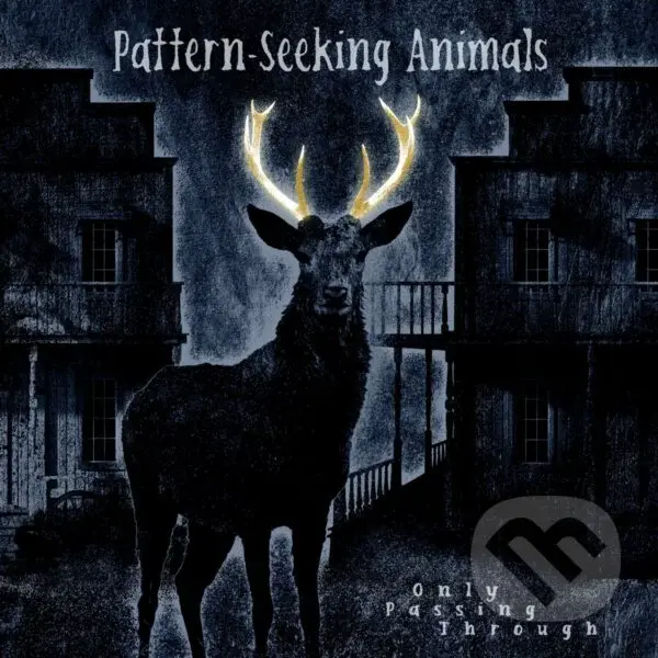 Pattern-Seeking Animals: Only Passing Through (HQ) LP,Pattern-Seeking Animals: Only Passing Through (HQ) LP