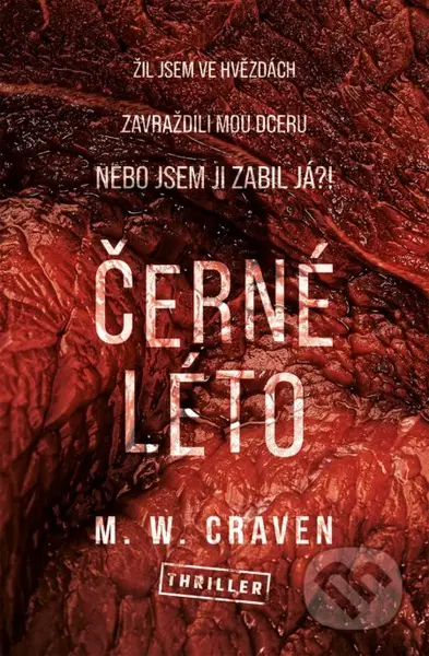 Černé léto - M.W. Craven - kniha z kategorie Detektivky