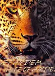 Jaké je to být gepardem a leopardem