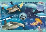 National Geographic Průzkum oceánu - puzzle z kategorie Zvířata