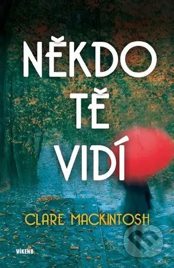 Někdo tě vidí - Clare Mackintosh