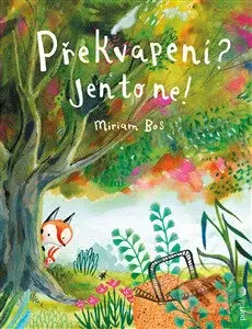 Překvapení? Jen to ne! - Miriam Bos, Miriam Bos (ilustrátor) - kniha z kategorie Pohádky
