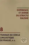 Experience et avenir du structuralisme - kniha z kategorie Literární věda