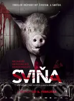 Sviňa - Mariana Čengel Solčanská, Rudolf Biermann - film z kategorie Dramata