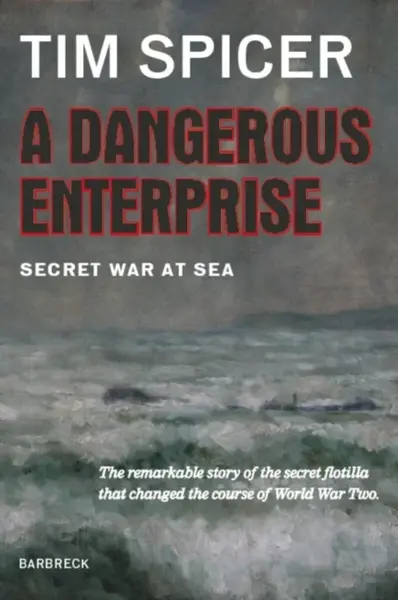 A Dangerous Enterprise - Tim Spicer