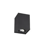 Trio Biscuit stropné osvetlenie čierna 613000132 TR613000132