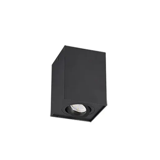 Stropné osvetlenie Trio Biscuit čierna 613000132