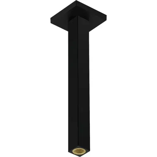 Sprchové rameno Hansgrohe na strop matná čierna 24339670