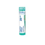Boiron ARGENTUM NITRICUM CH200 granule 4 g