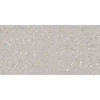 Dlažba Rako Porfido sivá 60x120 cm mat / lesk DASV9811.1