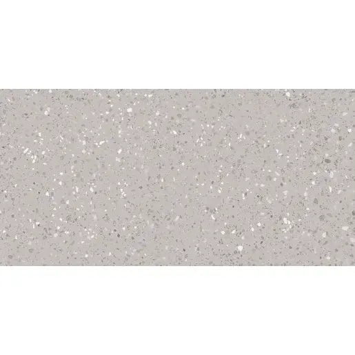 Dlažba Rako Porfido sivá 60x120 cm mat / lesk DASV9811.1