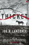 The Thicket - Joe R. Lansdale