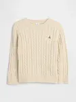 GAP Baby Knitted Sweater Brannan Bear - Boys
