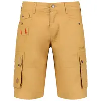 Geographical Norway PALMDALE_233