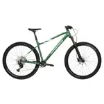 Horské kolo Kross Level 5.0 29" Gen 007 L (18", 170-187 cm) zelená lesk