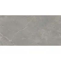 Dlažba Wermex Light Grey 59.8/119.8