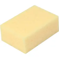 Špongia 110X160X60mm 1680