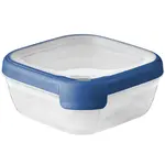 Box čtverec 0.75l průhledný/modrý