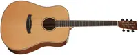 Tanglewood TRX5E