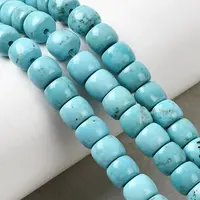 Natural Magnesite Beads Strands