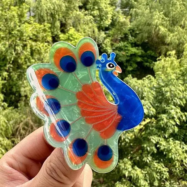 Acrylic Claw Hair Clips