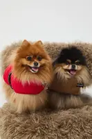 Bunda pre zvieratko Medicine