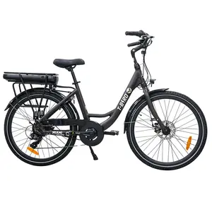 Miami-26 Electric Bike 250W 36V 14.4Ah 25km/h Black