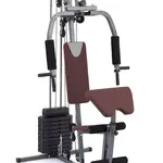 TRINFIT Posilovací Věž Gym Gx1