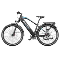 DUOTTS C29 Max Electric Bike 250W 48V 18Ah 25km/h