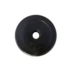 Cementový kotouč inSPORTline CEM 1,25 kg 30 mm