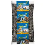 Ptačímls Slnečnica pásikavá 800 g