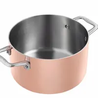 SCANPAN Maitre hrnec 20cm 3,5lt měď