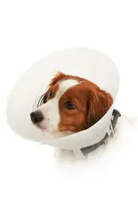 Límec ochranný Buster neprůhledný Classic Collar 10cm