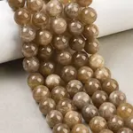 Dyed Natural Malaysia Jade Beads Strands