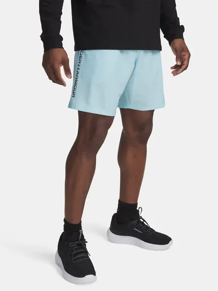 Pánské kraťasy Under Armour UA Tech Woven Wordmark Short - Pánské