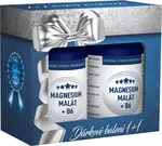 Clinical Magnesium malát + B6 2x 100 kapslí