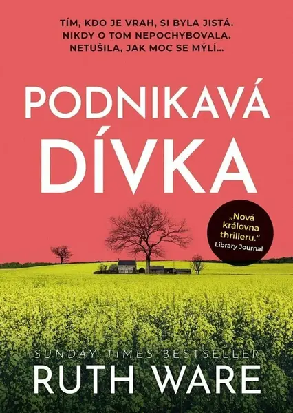 Podnikavá dívka (poškozené) - Ruth Ware