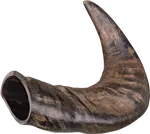 Buvolí žvýkací roh střední