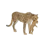 Gepardí samice s mládětem figurka