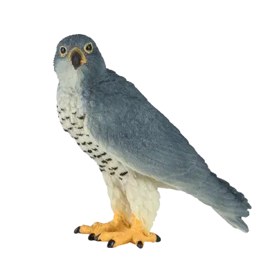 Sokol stěhovavý figurka