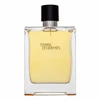 Hermes Terre D'Hermes toaletná voda pre mužov 200 ml