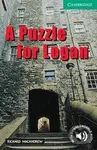 Puzzle for Logan - Richard MacAndrew - kniha z kategorie Jazykové učebnice a slovníky