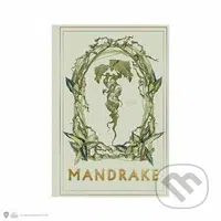 Harry Potter zápisník A5 - Mandragora