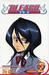 Bleach 2 - Tite Kubo