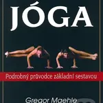 Aštánga Vinjása jóga - Gregor Maehle - kniha z kategorie Individuální sporty