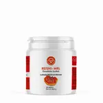 GN REISHI Ganoderma lucidum 90 tbl. po 500 mg sušenej huby