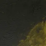 Olejová barva W&N Alkyd 37ml – 447 Olive Green